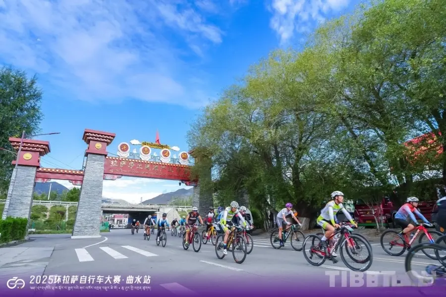 yid, 比赛距离约, tenan