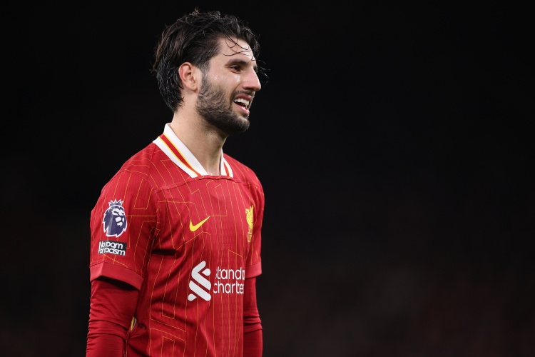 但他确实受, 末三次击中, 议的球迷 但他确实受, 末三次击中, 议的球迷