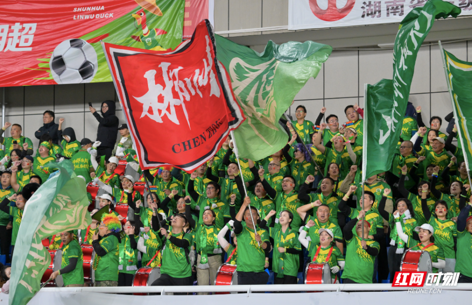 src, 内接球后, MEEPg